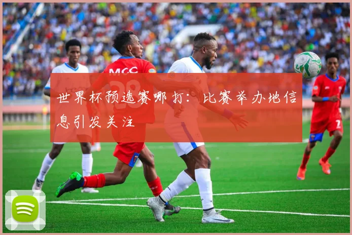世界杯预选赛哪打：比赛举办地信息引发关注