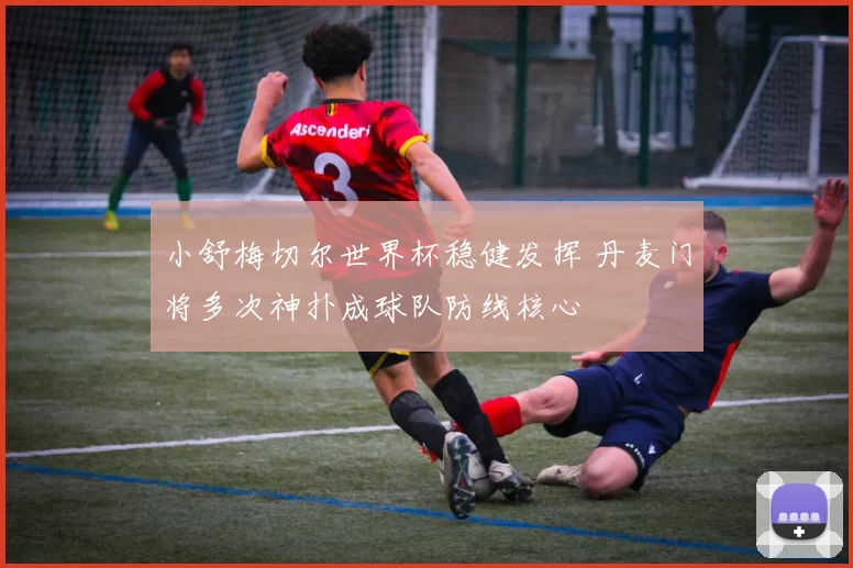 小舒梅切尔世界杯稳健发挥 丹麦门将多次神扑成球队防线核心