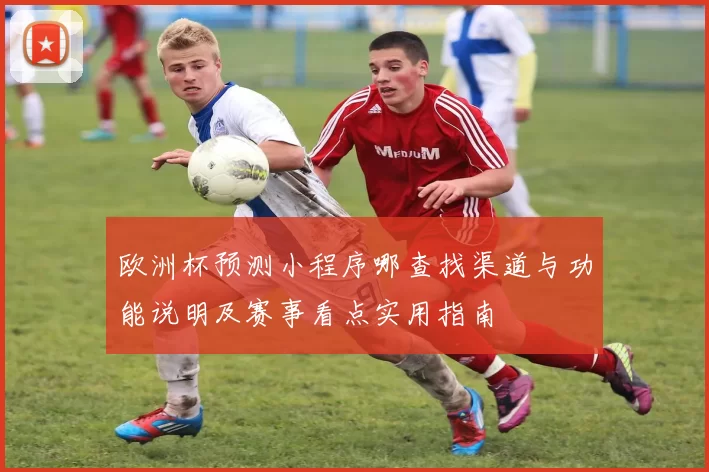 欧洲杯预测小程序哪查找渠道与功能说明及赛事看点实用指南