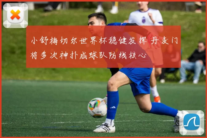 小舒梅切尔世界杯稳健发挥 丹麦门将多次神扑成球队防线核心