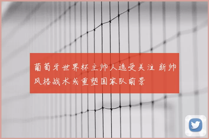 葡萄牙世界杯主帅人选受关注 新帅风格战术或重塑国家队前景