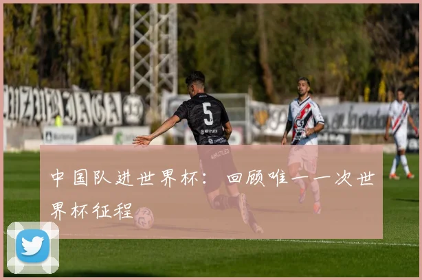 中国队进世界杯：回顾唯一一次世界杯征程