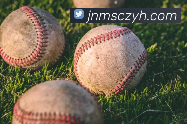 银河国际·GALAXY(中国)平台生态图